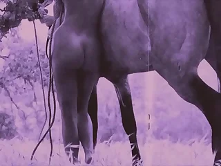 3723 tits porn videos